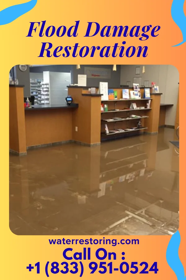 Flood Damage Restoration in Norcatur, KS