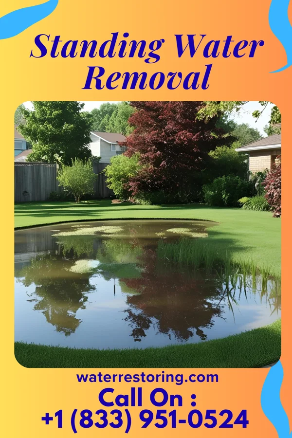 Standing Water Removal in Norcatur, KS